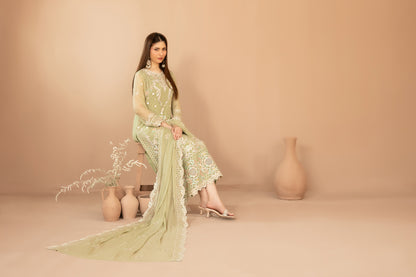 DISTRICT LOOM V1 3pcs SEMI-Stitched Emb CHIFFON [D-4906]