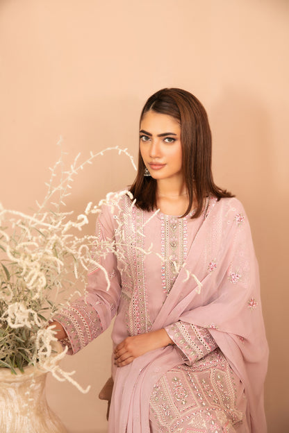 DISTRICT LOOM V1 3pcs SEMI-Stitched Emb CHIFFON [D-4905]
