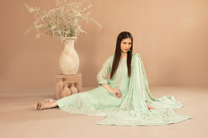DISTRICT LOOM V1 3pcs SEMI-Stitched Emb CHIFFON [D-4903]