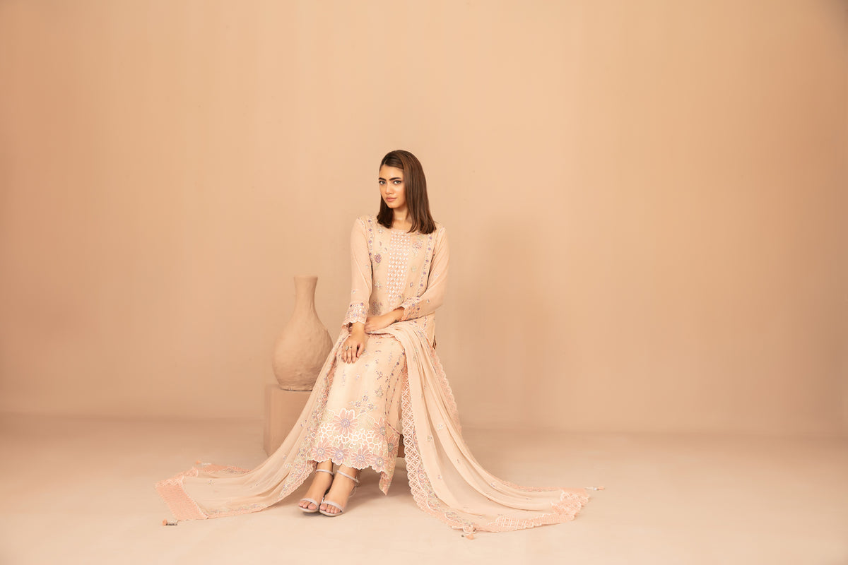 DISTRICT LOOM V1 3pcs SEMI-Stitched Emb CHIFFON [D-4908]