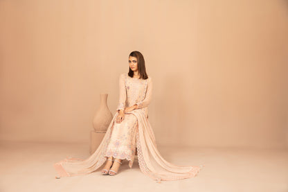 DISTRICT LOOM V1 3pcs SEMI-Stitched Emb CHIFFON [D-4908]
