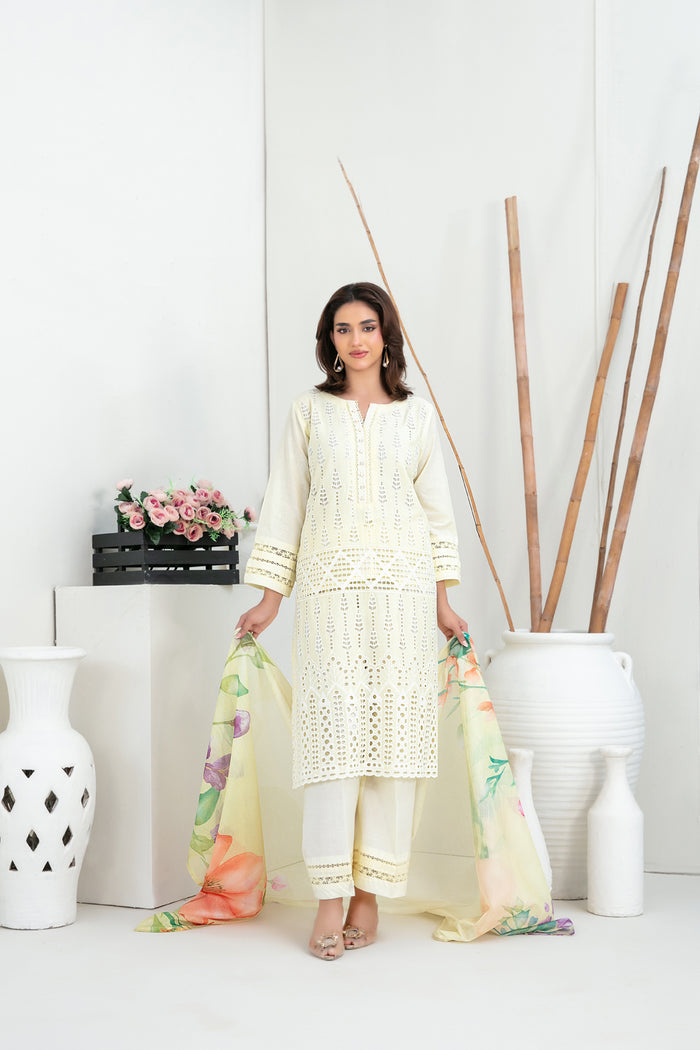 Mehrak 3pcs Stitched Schiffli Emb Lawn [D-1465]