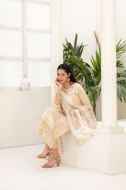 Araqa 3pcs Semi-Stitched Fancy Emb Slub Lawn [D-4220]