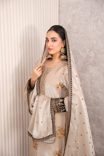 Iskara 3pcs Un-Stitched Handwork Emb Silk [D-5773]