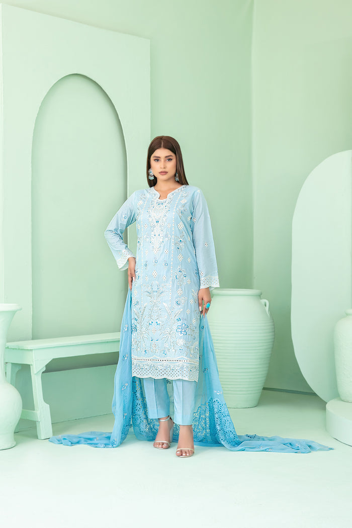Sihana 3pcs Stitched Embroidered Staple [D-3916]