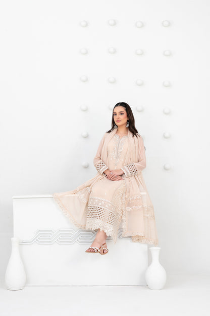 SATORI 3pcs Semi-Stitched Fancy Emb Chiffon [D-3933]