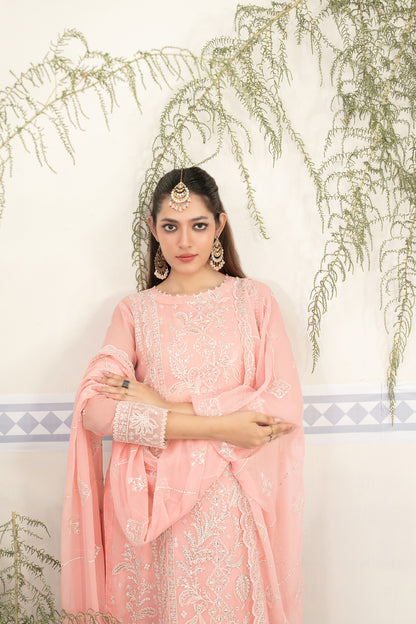 D-2017 - Rashieka vol - 2