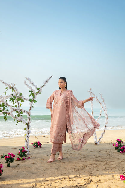 D-4058 - Mannam Vol-1