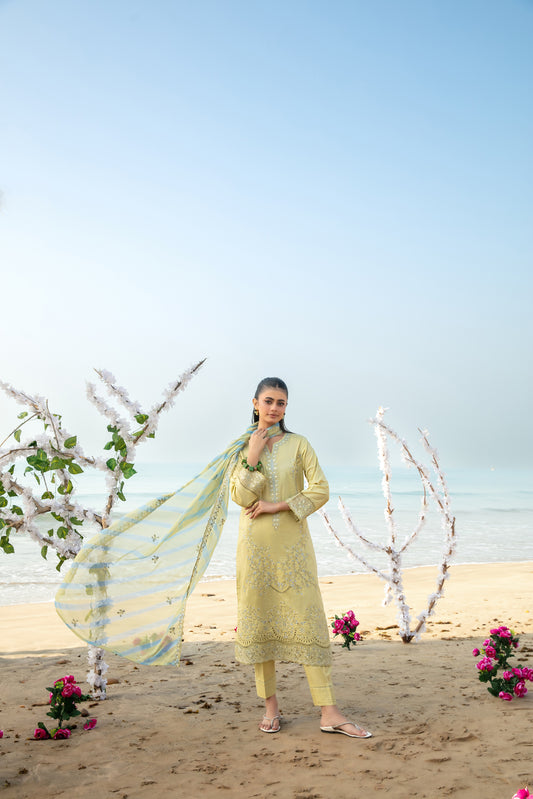 D-4059 - Mannam Vol-1