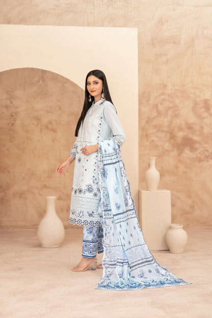 Echo Of Grace 3pcs Un-Stitched Emb Lawn [D-3678]