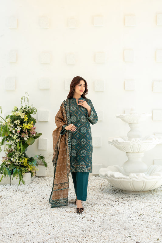Qalaa 3pcs Stitched Printed Chamki Lawn [D-3623]