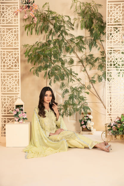 Taabir 3pcs Stitched Emb Lawn [D-3002]