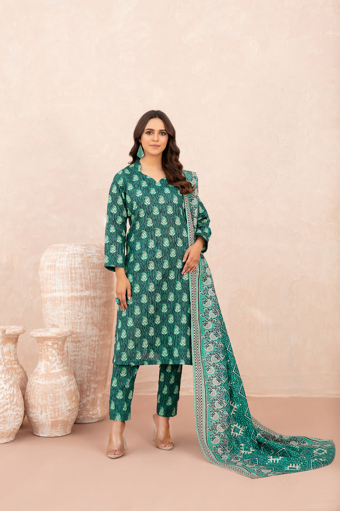 Nazli 3pcs Stitched Printed Khaddar [D-5648]