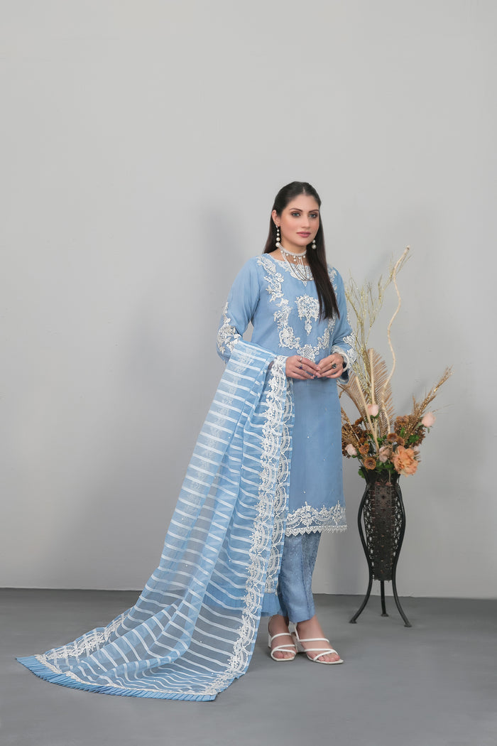 Heeriya 3pcs Stitched luxury Emb Organza [D-9753]