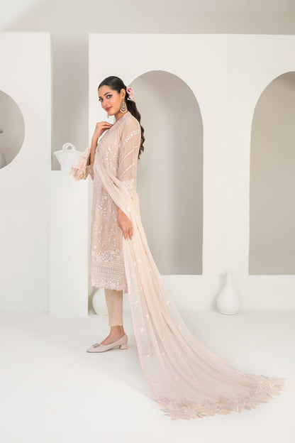 EK NAYI DASTAAN V1 3pcs Semi-Stitched Fancy Emb Chiffon [D-4757]
