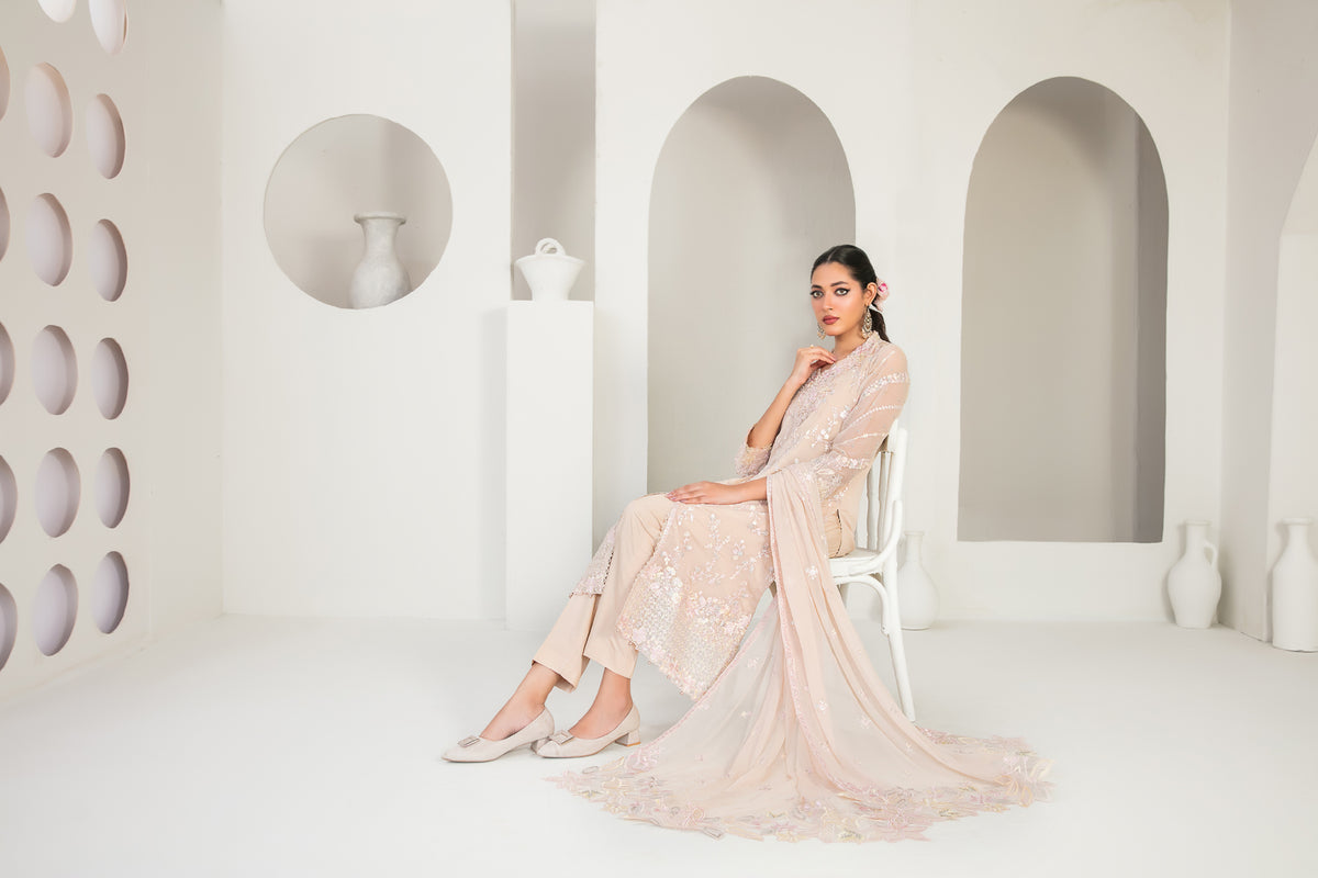EK NAYI DASTAAN V1 3pcs Semi-Stitched Fancy Emb Chiffon [D-4757]