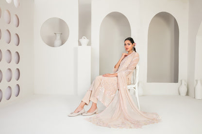 EK NAYI DASTAAN V1 3pcs Semi-Stitched Fancy Emb Chiffon [D-4757]