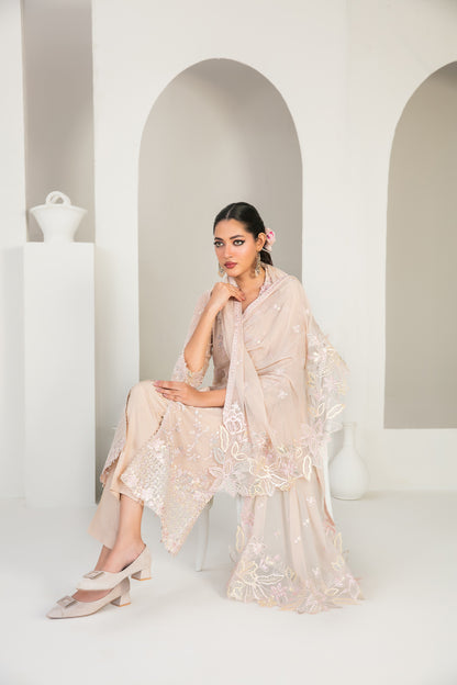 EK NAYI DASTAAN V1 3pcs Semi-Stitched Fancy Emb Chiffon [D-4757]