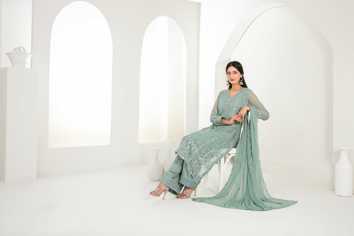 EK NAYI DASTAAN V1 3pcs Semi-Stitched Fancy Emb Chiffon [D-4763]