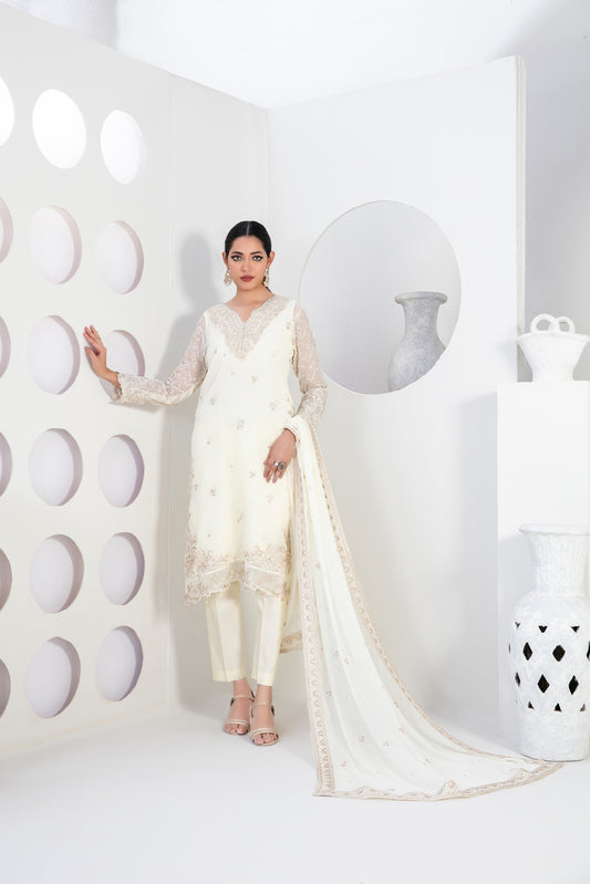 EK NAYI DASTAAN Vol 2 3pcs Semi-Stitched Fancy Emb Chiffon [D-4765]