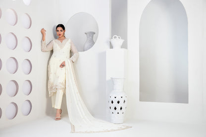 EK NAYI DASTAAN Vol 2 3pcs Semi-Stitched Fancy Emb Chiffon [D-4765]