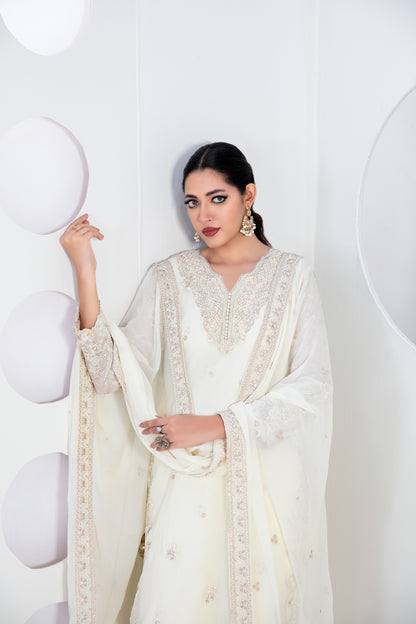 EK NAYI DASTAAN Vol 2 3pcs Semi-Stitched Fancy Emb Chiffon [D-4765]