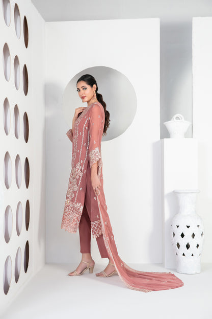 EK NAYI DASTAAN Vol 2 3pcs Semi-Stitched Fancy Emb Chiffon [D-4762]