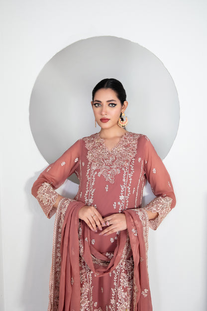 EK NAYI DASTAAN Vol 2 3pcs Semi-Stitched Fancy Emb Chiffon [D-4762]