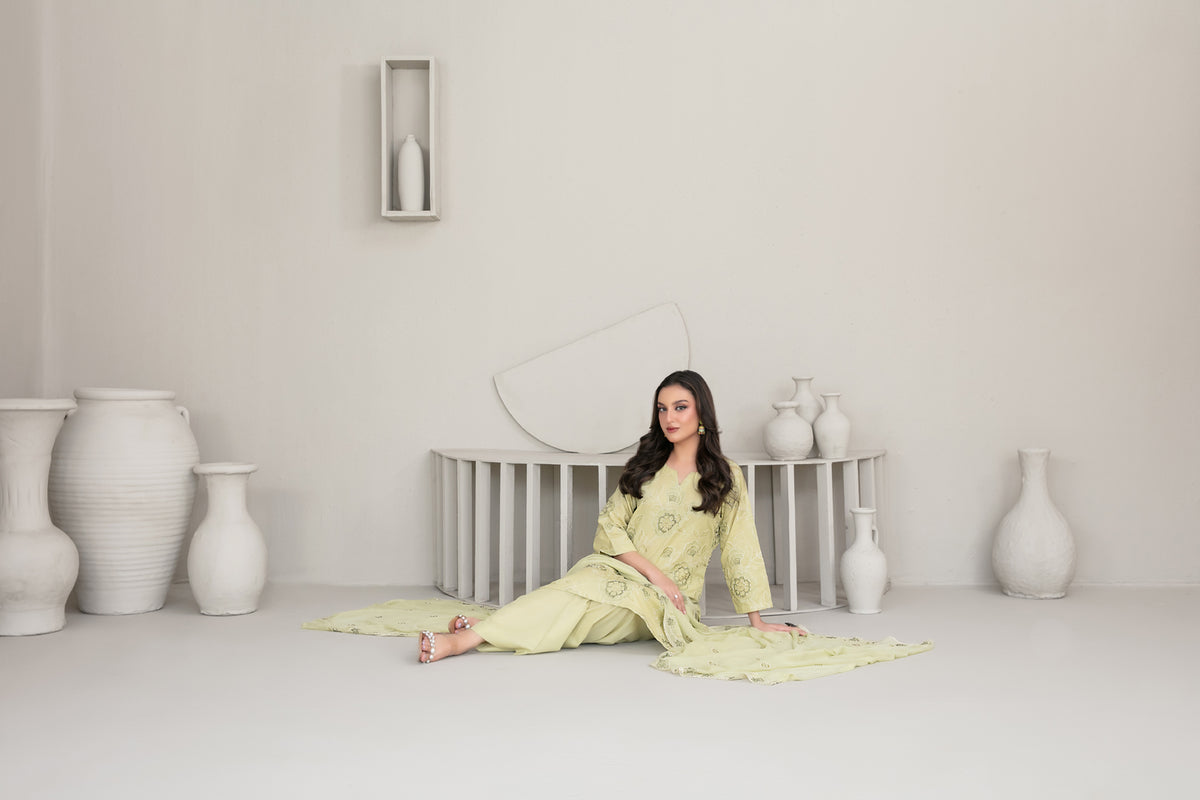 QAREENA 3pcs Un-Stitched Emb Karrandi [D-5267]