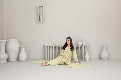 QAREENA 3pcs Un-Stitched Emb Karrandi [D-5267]