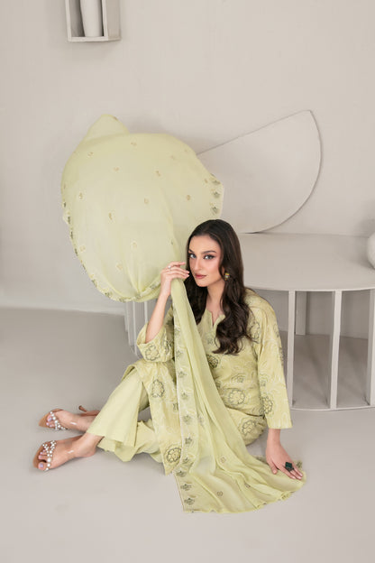 QAREENA 3pcs Un-Stitched Emb Karrandi [D-5267]