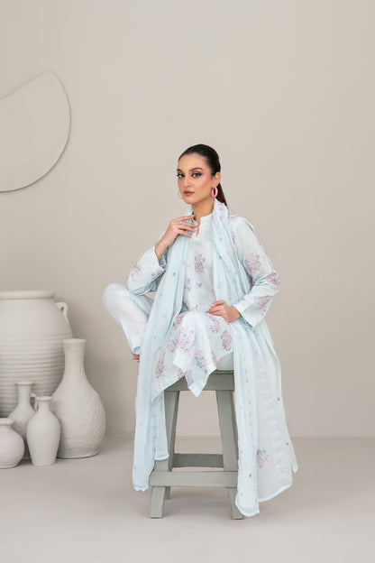 QAREENA 3pcs Un-Stitched Emb Karrandi [D-5269]