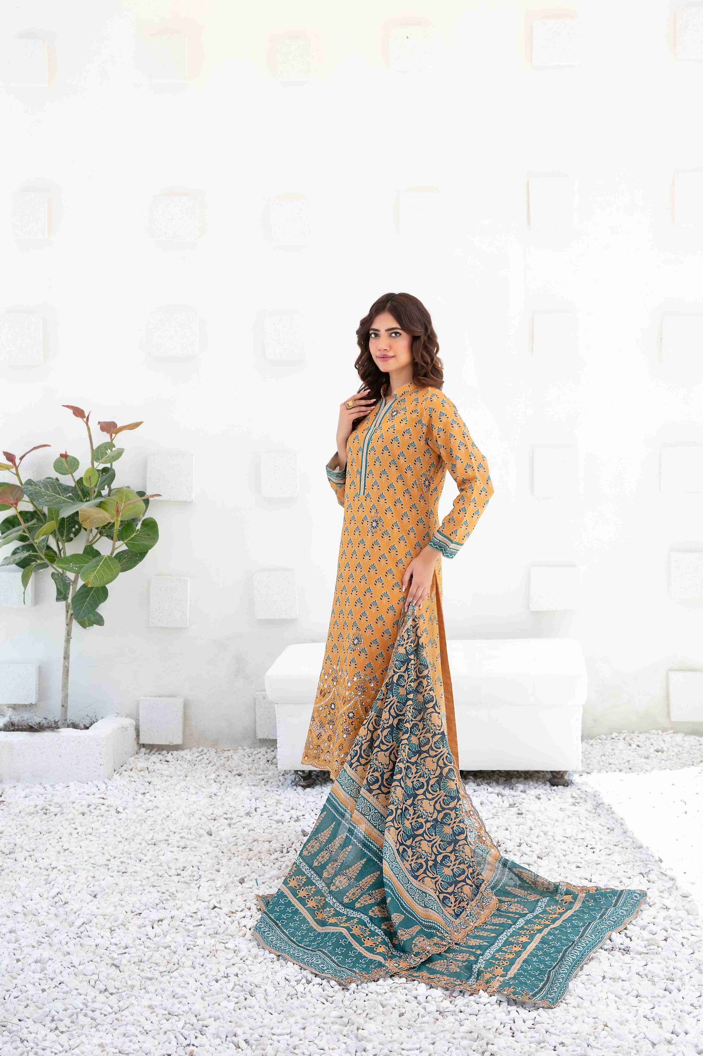 Ayna 3Pcs Unstitched Printed Lawn [D-3948]