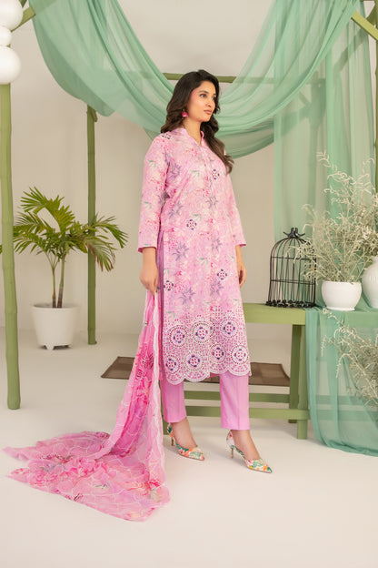 D-4079 - Sionya