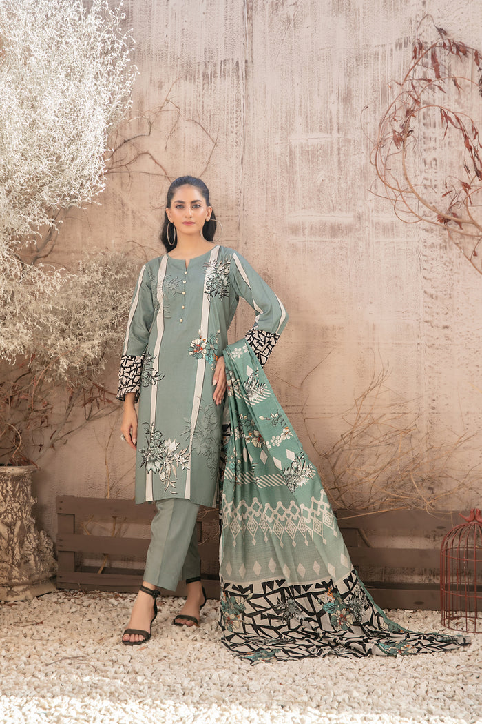 Rasha V2 3pcs Stitched Printed Staple [D-5060]