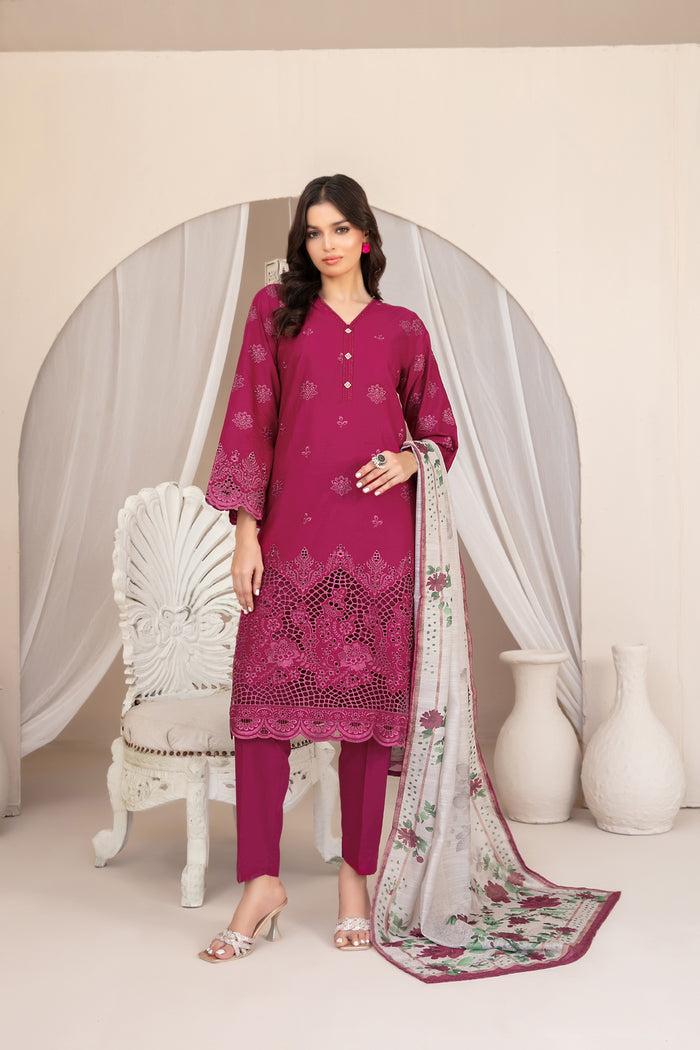 Nazifa 3pcs Stitched Schiffli Emb Lawn [D-1041]