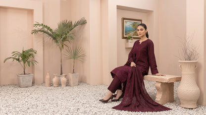 MEENA 3pcs Un-Stitched  Embroidered Dhanak [D-6303]
