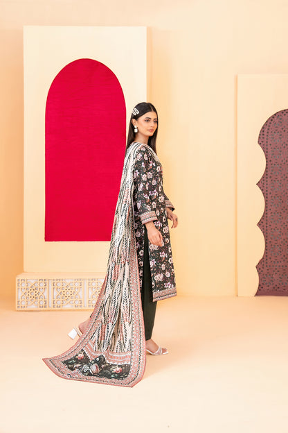 D-5187 - Roshni