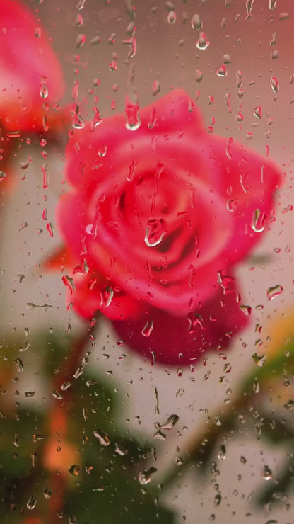 Crown Of Petals